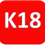 Khóa K18 Luyện SIÊU TRÍ NHỚ chuyên sâu (Khóa học được thu hình lại từ các buổi học trực tuyến qua Zoom)